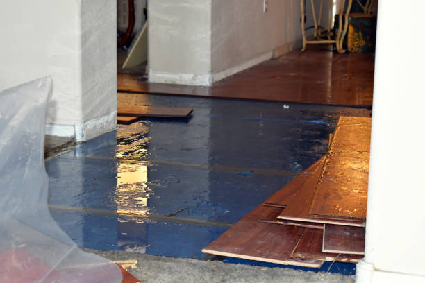 Professional Sewage Cleanup technician working in Sangerville, ME